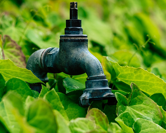 outdoor tap